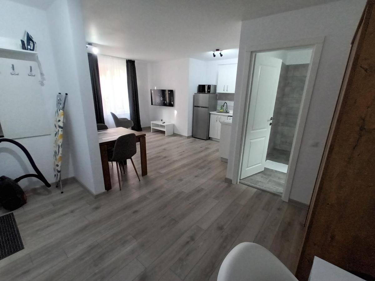 Old Town Studio Apartments Baia Mare Zewnętrze zdjęcie