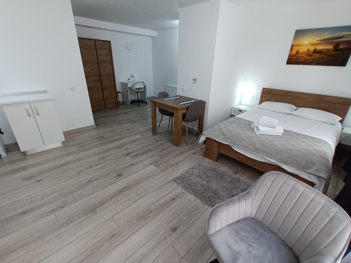 Old Town Studio Apartments Baia Mare Zewnętrze zdjęcie