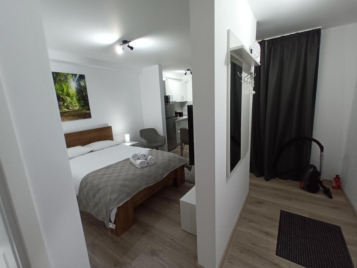 Old Town Studio Apartments Baia Mare Zewnętrze zdjęcie